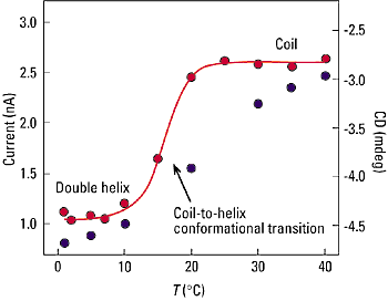 Figure 1 - Detection of the thermal coil-to-double helix conformational transition of k-carrageenan.