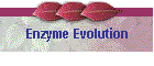Enzyme Evolution