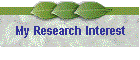 My Research Interest