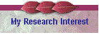My Research Interest