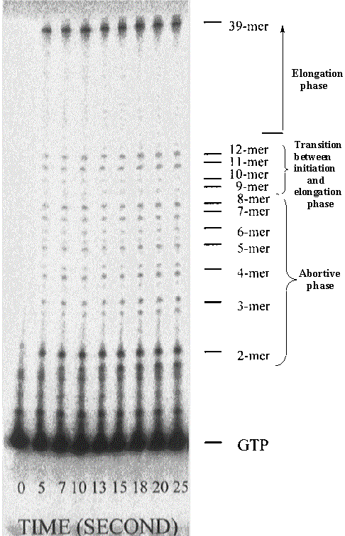 figure13.jpg (403768 bytes)