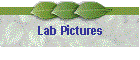 Lab Pictures