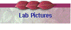 Lab Pictures