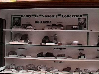 Nason's collection