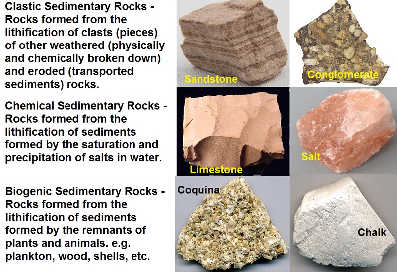 Sedimentary Rocks